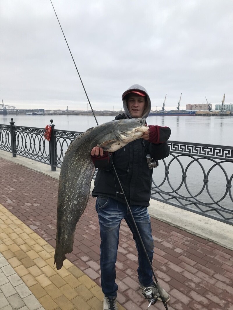 Интересные факты об Астрахани Астрахани, Астрахань, городов, набережной, центральной, государству, башни, Астраханский, Кремля, Город, называют, Волге, крупных, можно, мигающие, асфальтированными, стандарту, районе, обозначают, наспунктов