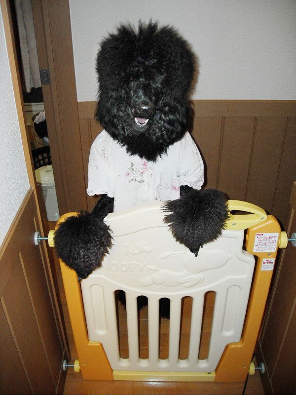 Давайте улыбаться вместе! :) (39улыбок)