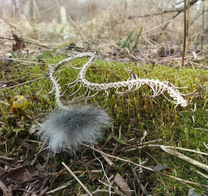 20 сцен из мира природы, которые пугают и впечатляют одновременно 20 сцен из мира природы, которые пугают и впечатляют одновременно интересное,природа,фотография