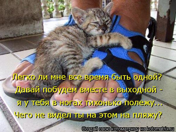 Котоматрица: Легко ли мне все время быть одной? Давай побудем вместе в выходной -  я у тебя в ногах тихонько полежу... Чего не видел ты на этом на пляжу?