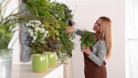 Стена вместо клумбы: 3 приема вертикального озеленения, которые преобразят любую квартиру