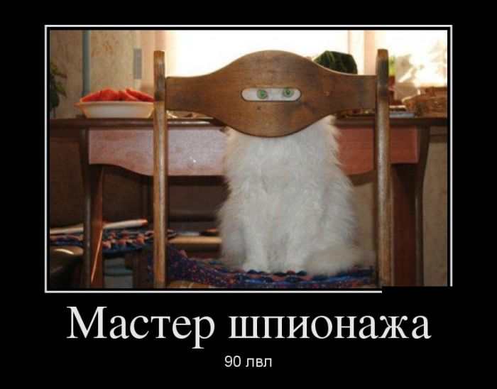 Демотиваторы для всех: «Моя вселенная…»  