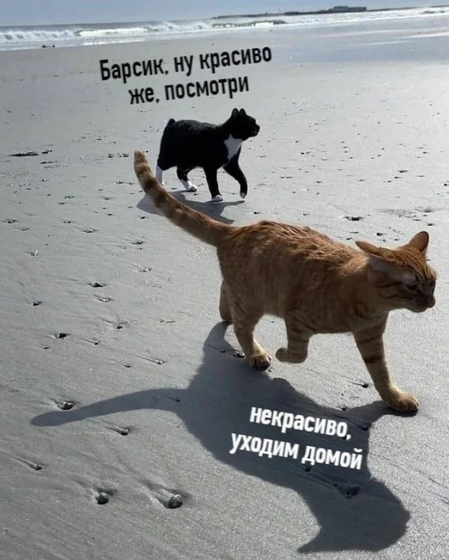 Юмор для тех, кто уже повзрослел и понял, что «праздник» — это когда не звонили с работы 
