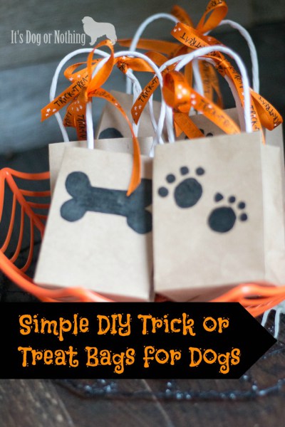 Want to include your furry friend in the Halloween festivities? Try these simple DIY Trick or Treat bags for dogs!