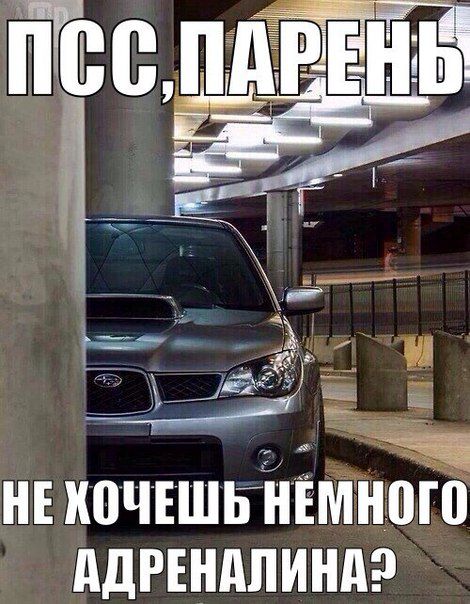 Автоприколы