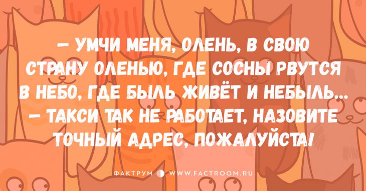 10 удивительных анекдотов, после прочтения которых вы сползёте под стол от смеха!