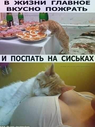 Только у нас в два часа ночи поднимаешься на этаж выше к бухающим соседям поругаться... Только у нас в два часа ночи поднимаешься на этаж выше к бухающим соседям поругаться...