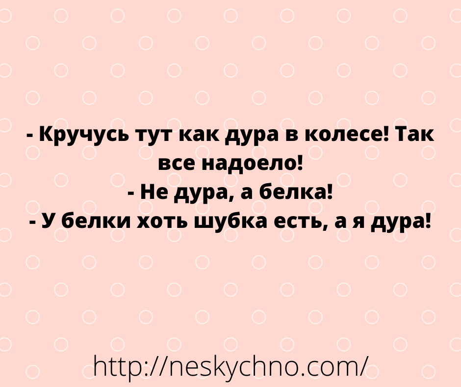 Подборка веселостей! Лучик позитива и юмора в вашем дне Подборка веселостей! Лучик позитива и юмора в вашем дне