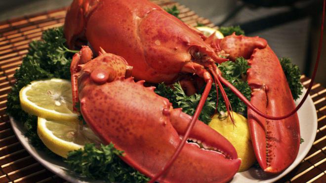 Стало известно, сколько украинцы съедают лобстеров, омаров, креветок и кальмаров