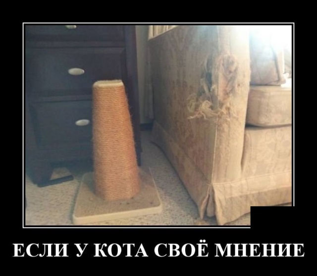 Люся, ты чем увлекаешься? Люся, ты чем увлекаешься? анекдоты,веселье,демотиваторы,приколы,смех,юмор