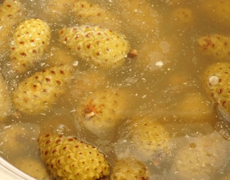 Здоровье от природы: вот как приготовить варенье из шишек рецепты