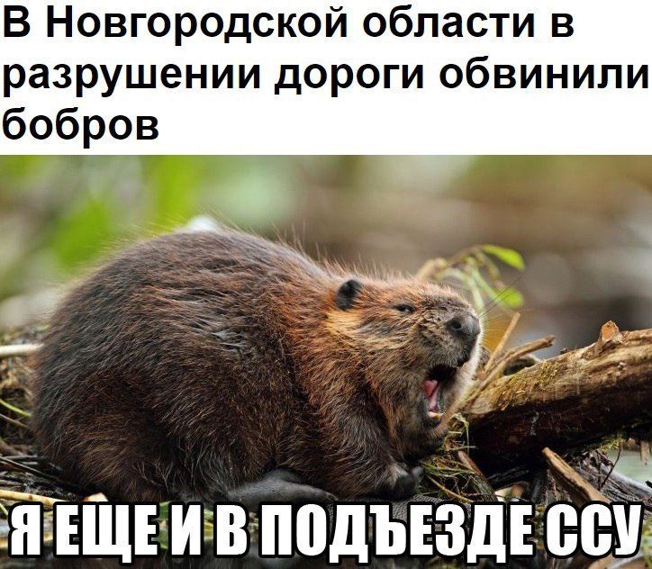 Отличные приколюшки