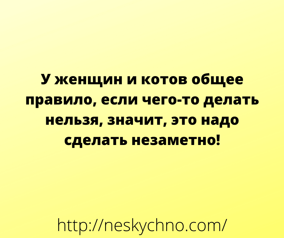 Надо значит надо. У женщин и котов общее правило если. У женщин и котов общее правило если чего-то делать нельзя. У женщин и котов общее правило если чего-то. Если чего то делать нельзя значит надо сделать это незаметно.