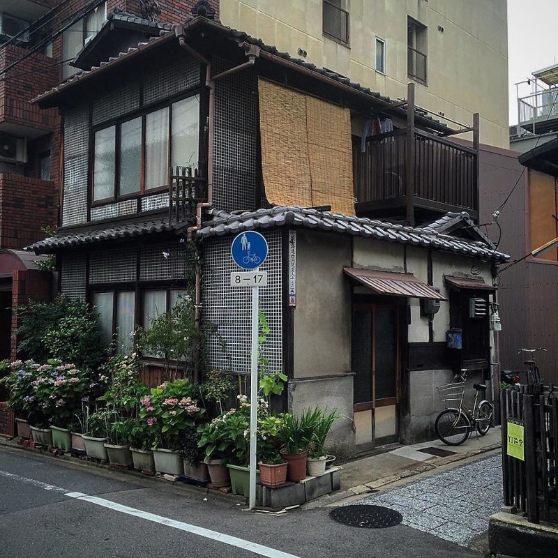 Дом с гортензиями архитектура, дома, здания, киото, маленькие здания, местный колорит, фото, япония