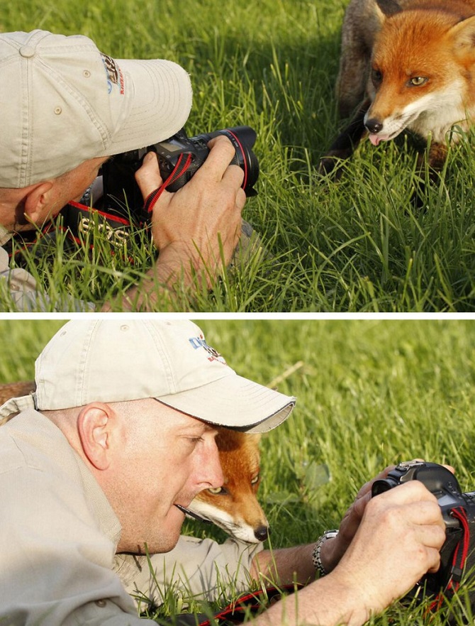 Почему фотоохота — самое лучшее занятие в мире?