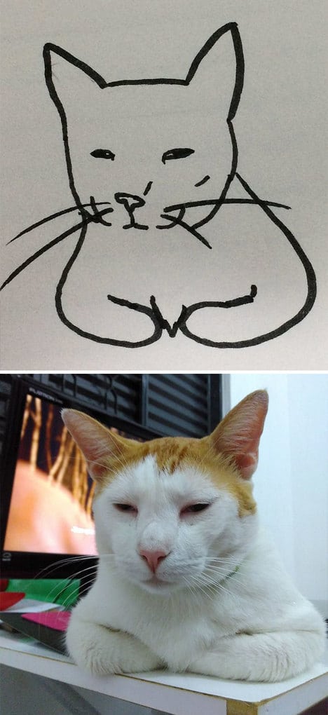 Poorly Drawn Cat