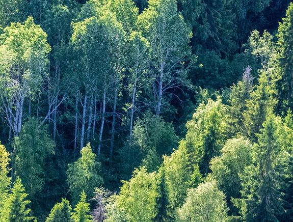 В Иркутской области расследуется уголовное дело  