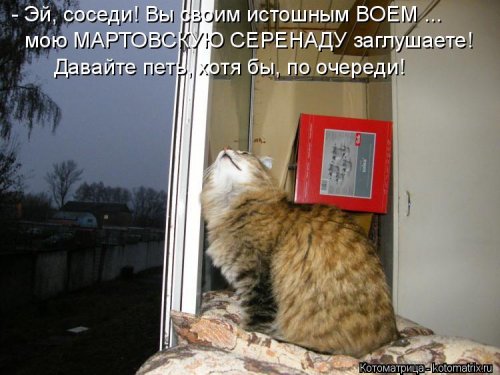 Лучшая котоматрица недели Лучшая котоматрица недели смешные картинки