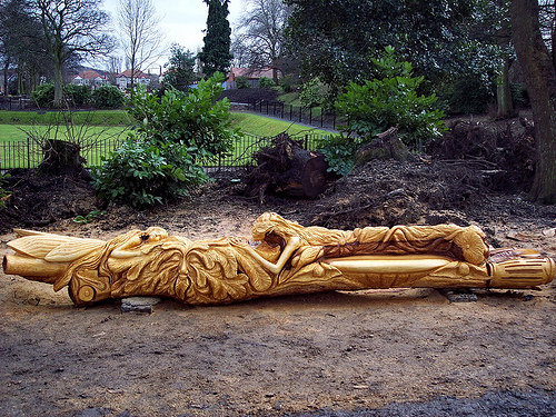 Вторая жизнь срубленных деревьев Вторая жизнь срубленных деревьев красивые фотографии,прикольные картинки,шикарные фотографии