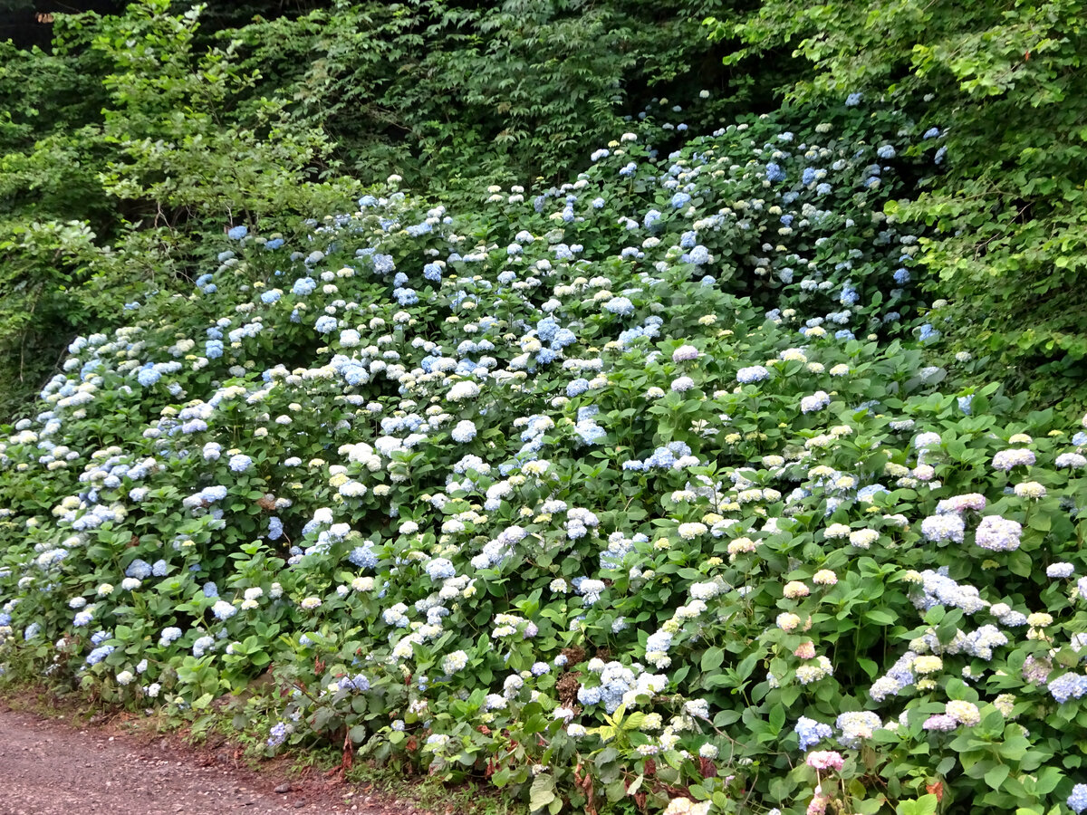 Акармарский водопад. Восточная Абхазия Акармарский водопад. Восточная Абхазия