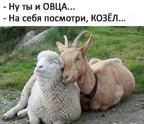 Смотреть клевые картинки 