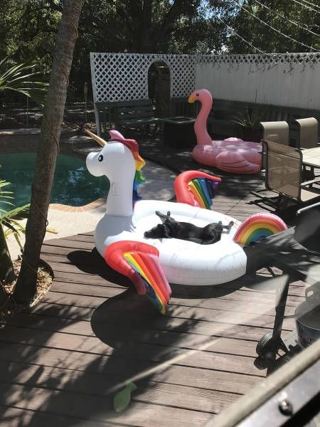 Прикольные картинки картинки из сети, прикол, юмор