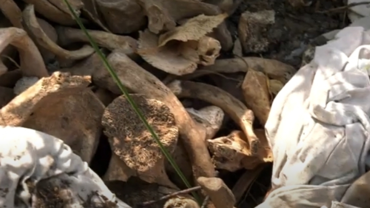 Человеческие останки найдены на территории церкви в Прикамье
