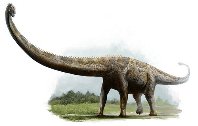 Найден скелет нового вида динозавров