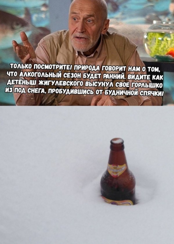 Юмор на разные темы 