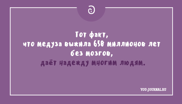 Тот факт что медуза выжила 650 миллионов лет без мозгов. Тот факт что при его. Тот факт что при его. Тот факт что при его. Цитаты про мозги.