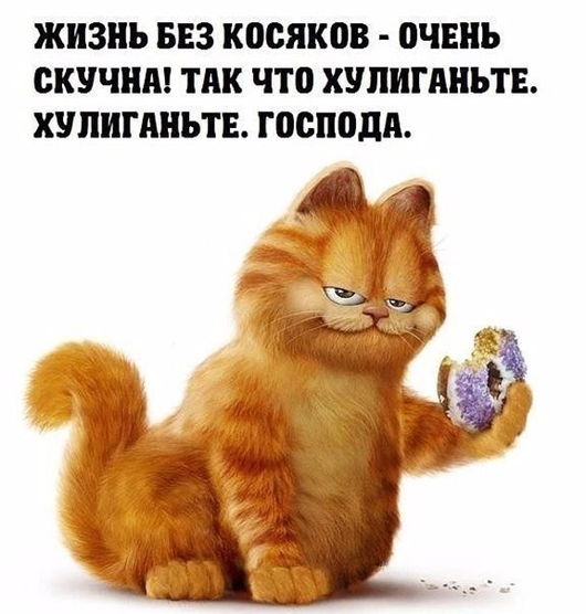 Утро понедельника в животном саду веселые картинки,животные,позитив,Смешные животные