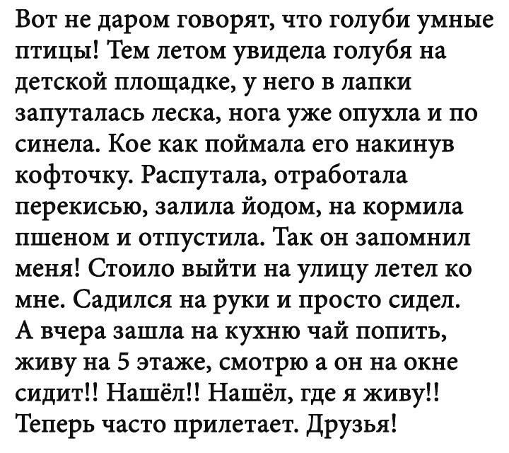 20 историй, которые подарят позитив на весь день 20 историй, которые подарят позитив на весь день