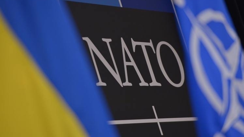 Опрос Gallup опроверг слова Порошенко о поддержке НАТО украинцами