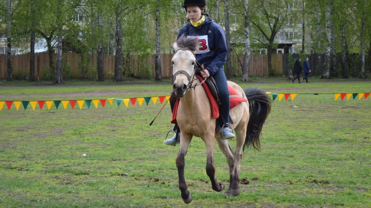 Чудеса происходят ежедневно: в Перми реабилитируют людей через иппотерапию Общество