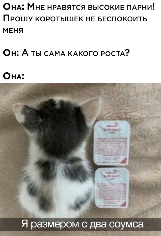 Подборка картинок. Вечерний выпуск Подборка картинок. Вечерний выпуск приколы,смешные картинки,юмор