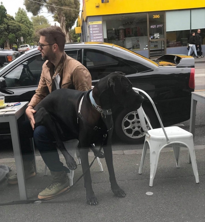 Фотоподборка 