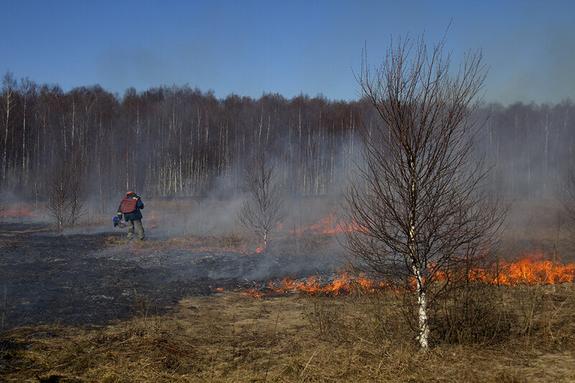 Аномально высокие летние температуры могут привести к новому возгоранию торфяников, что надо делать