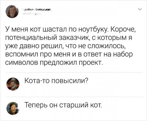 Подборка комментариев Подборка комментариев