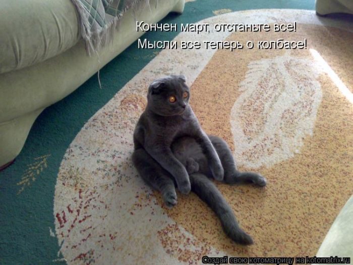 Лучшие котоматрицы за прошедшую неделю