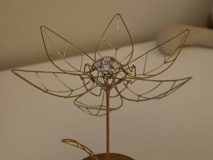 Парень подарил жене механический цветок, который расцветает при касании Парень подарил жене механический цветок, который расцветает при касании мужское хобби