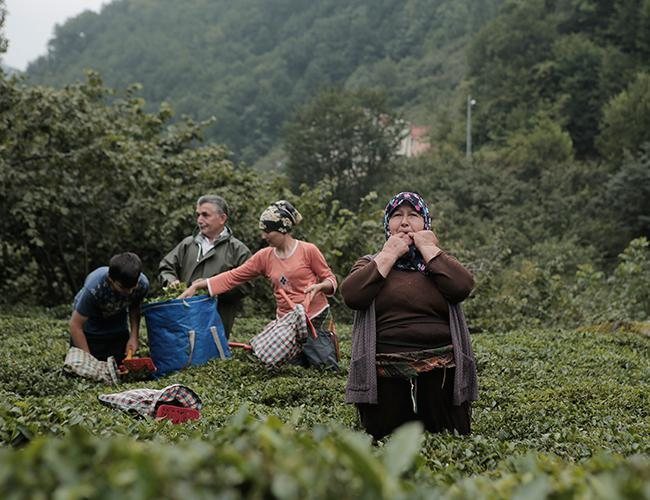 Villagers use their hands to make the piercing whistle calls.