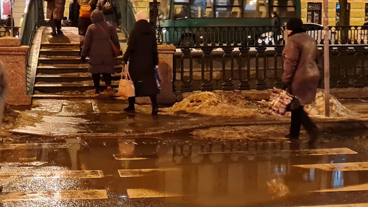 «Зимний сезон провален»: какие причины скрываются за снежным коллапсом в Петербурге Общество