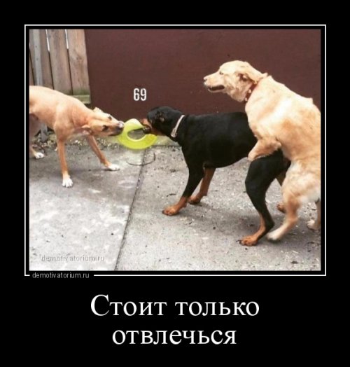 Славная охота. Прикольные демотиваторы Славная охота. Прикольные демотиваторы