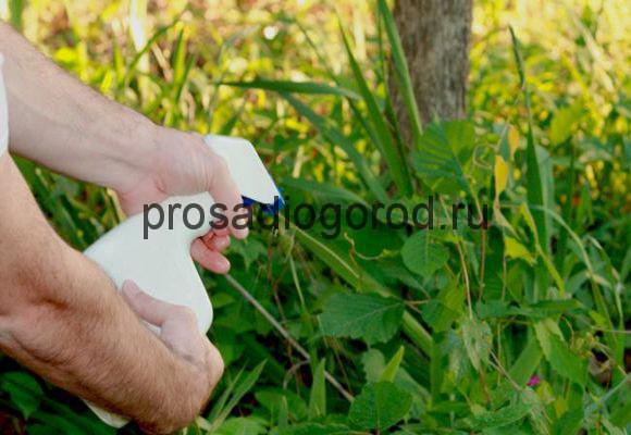 уксус против сорняков