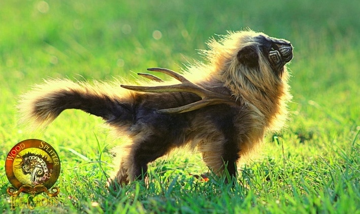 Животные, которых не создавала природа. Невероятные создания Ли Кросс Животные, которых не создавала природа. Невероятные создания Ли Кросс handmake,куклы и игрушки,поделки своими руками,разное