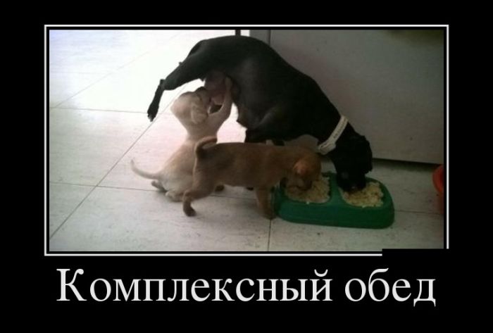 Демотиваторы для всех: «Моя вселенная…»  