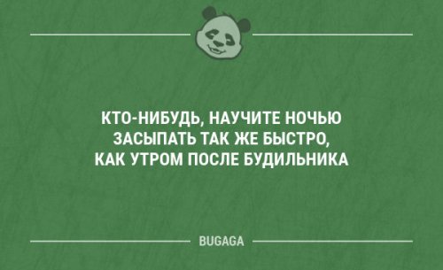 Прикольные картинки и фото, бодрые 