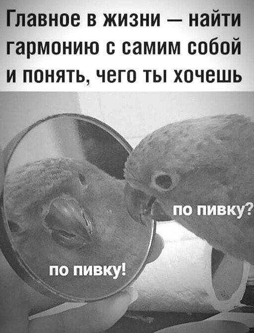 Шутки про картинки