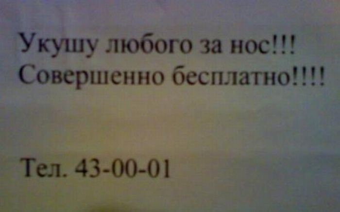 Подборка смешных и угарных объявлений креативно, объявления, смешно