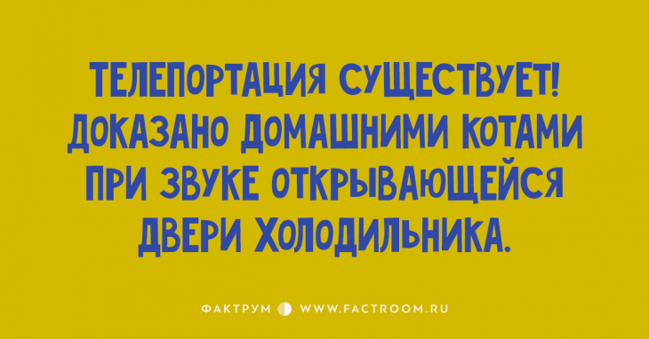 Горячая десятка анекдотов, вызывающих безудержный смех